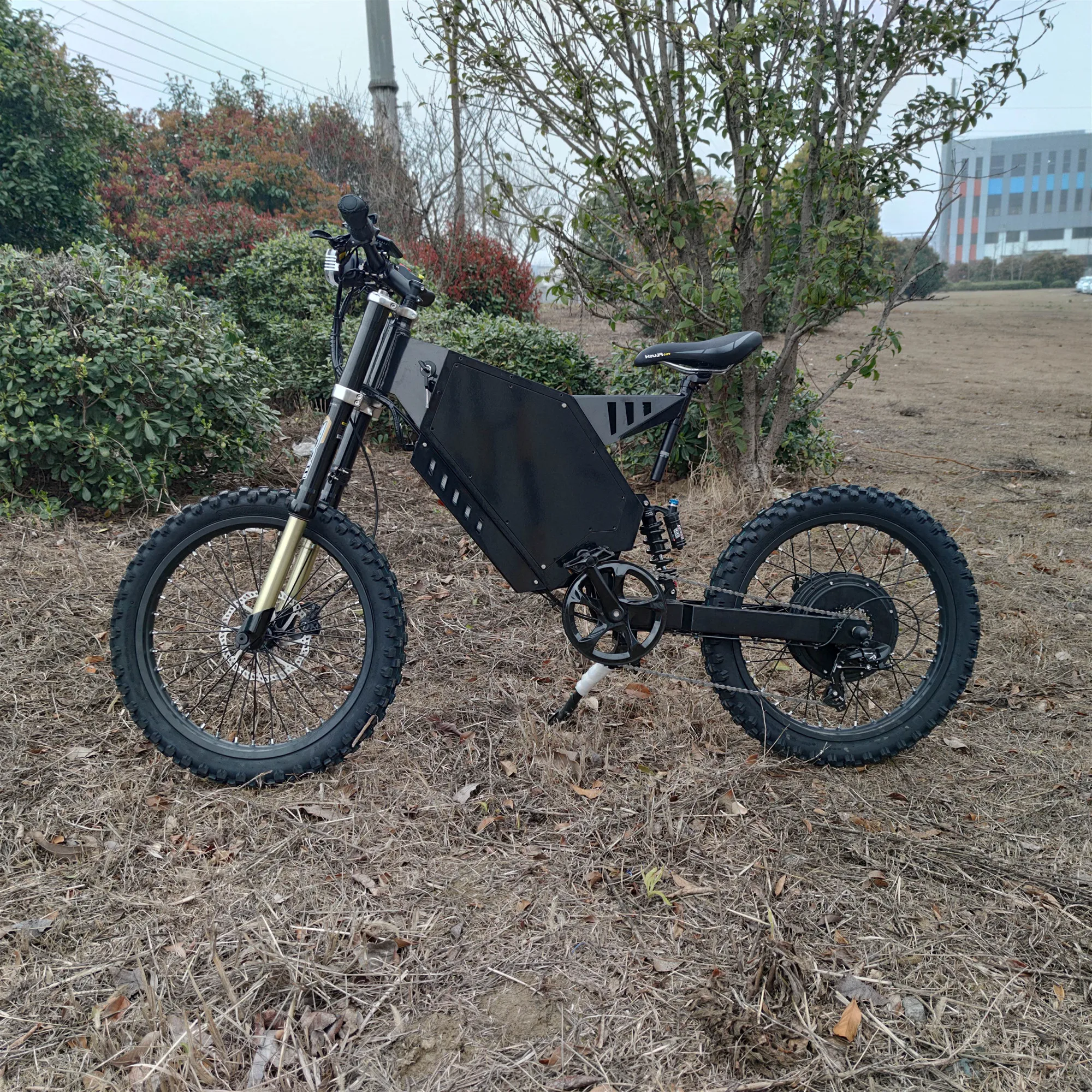 

cheap electric bicycle 48v 2000w 3000w electric bike ebike