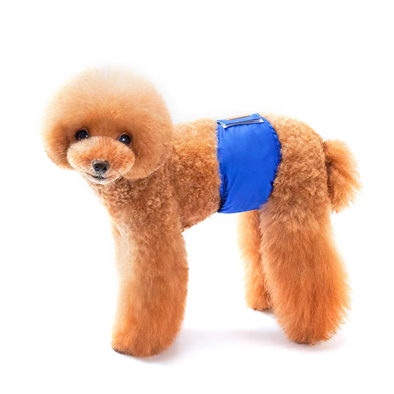 

Wholesale Luxury male dog physiological pant small-sized dog clothes, Blue/red/orange/green