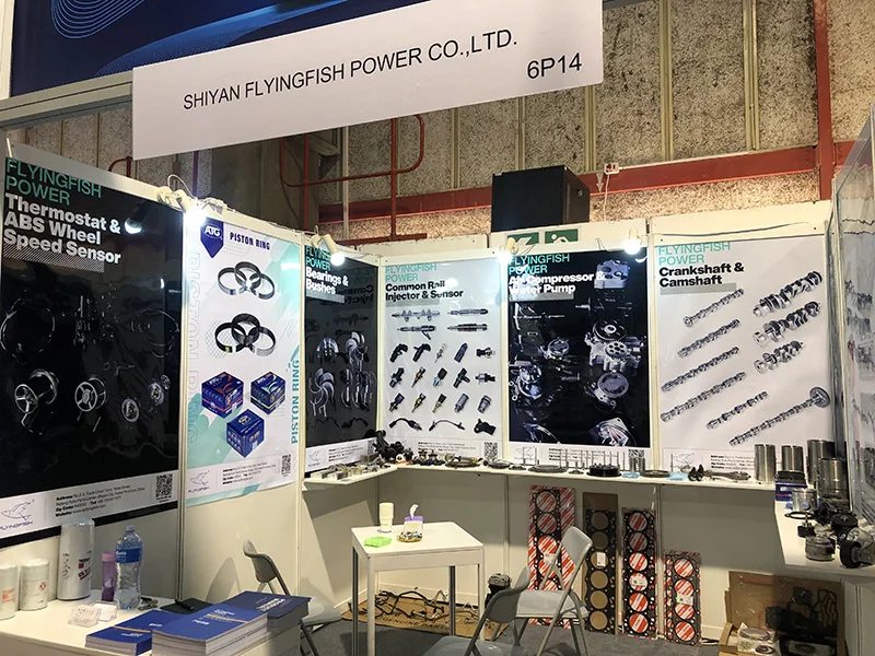 Shiyan Flyingfish  2 (3).jpg