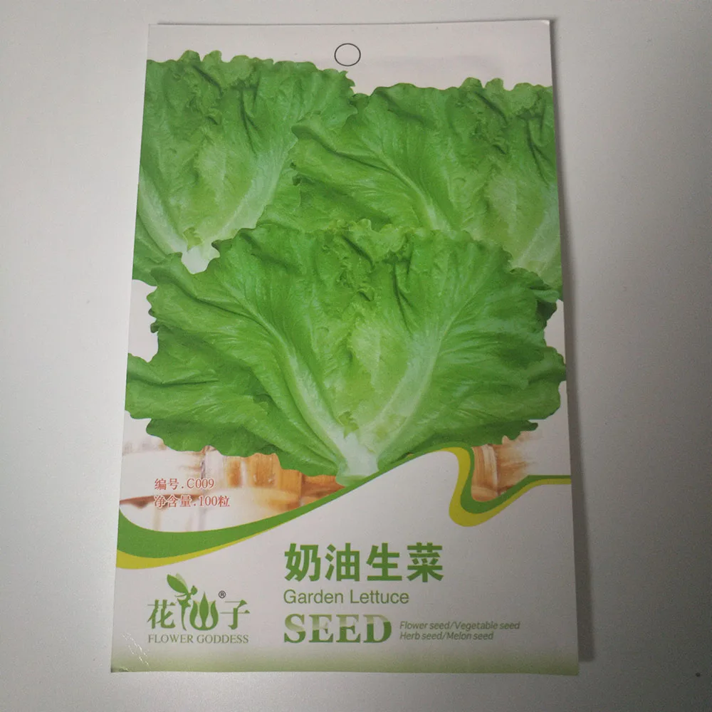 准备发货奶油生菜种子/莴苣种子小蔬菜种子包 $0.59/包