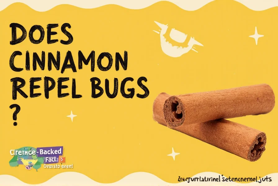 Step-by-step visual guide showing how to create a cinnamon bug repellent spray using essential oil, water, and a spray bottle