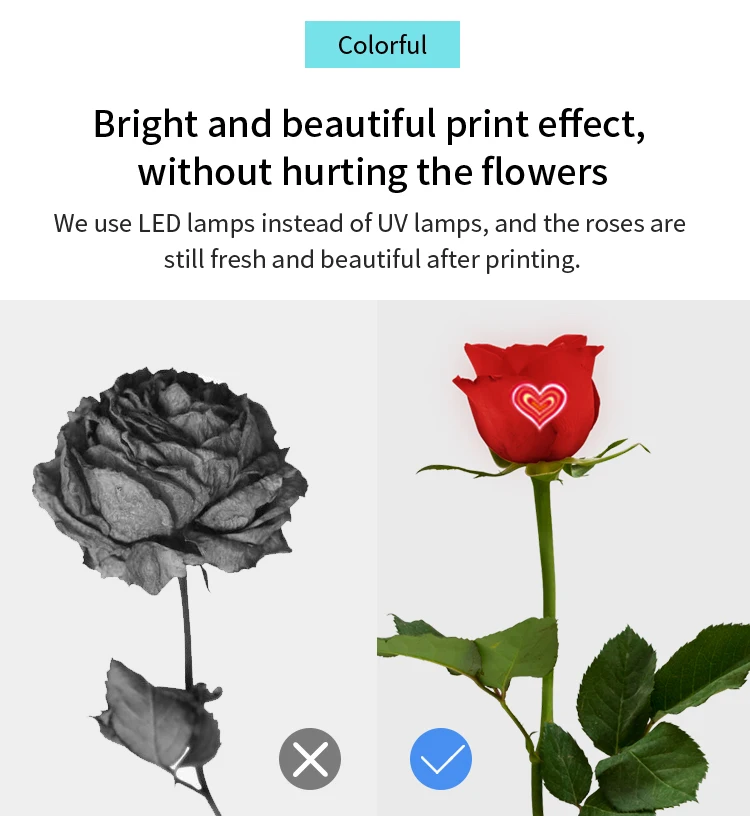Speaking roses. Flower Printer. Speaking about Flowers.