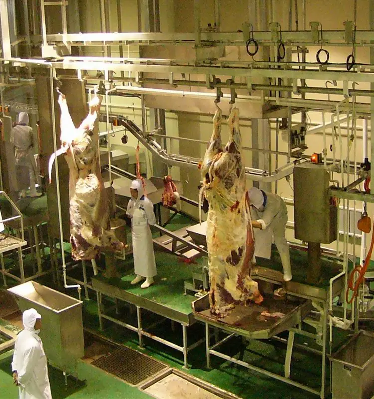Halal Slaughter Equipment Synchronized Quarantine System for Cattle Offal for Slaughterhouse Operations