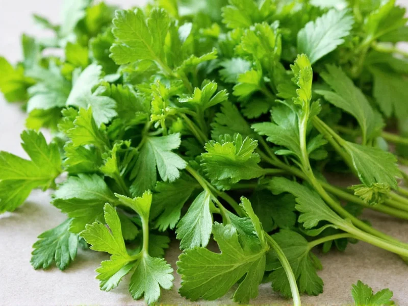 Parsley vs Cilantro Leaves: Key Differences Explained