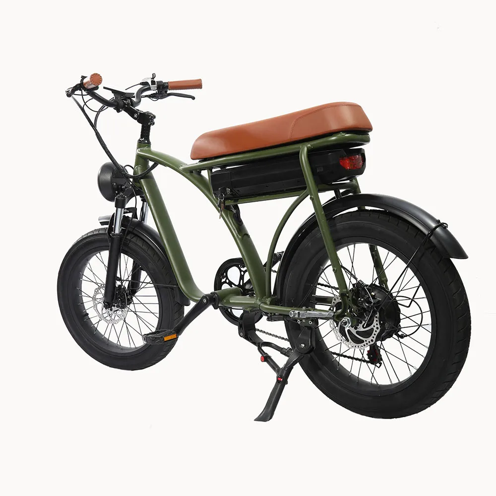 

China Factory High Power enduro ebike MTB Speed mountain fat tire High Power Retro Electric Bike, Customized color