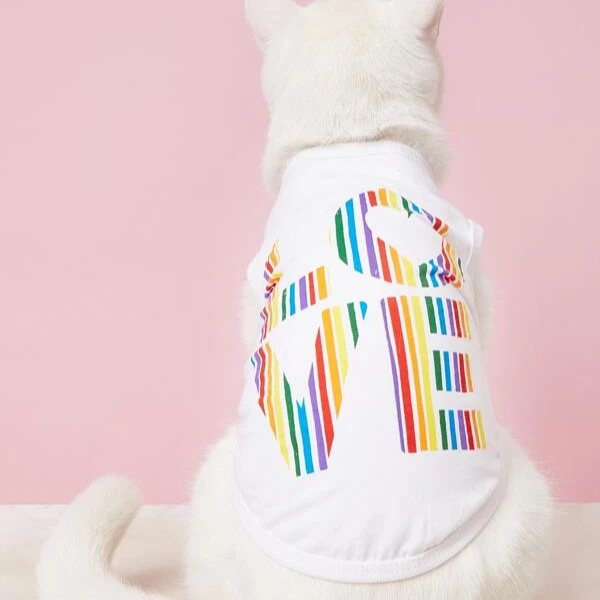 

pet clothing shop fairy skirt cat dog clothing wholesale pet dogs clothing