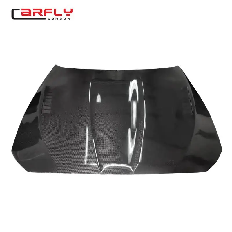 BMW F10 hood 1.jpg