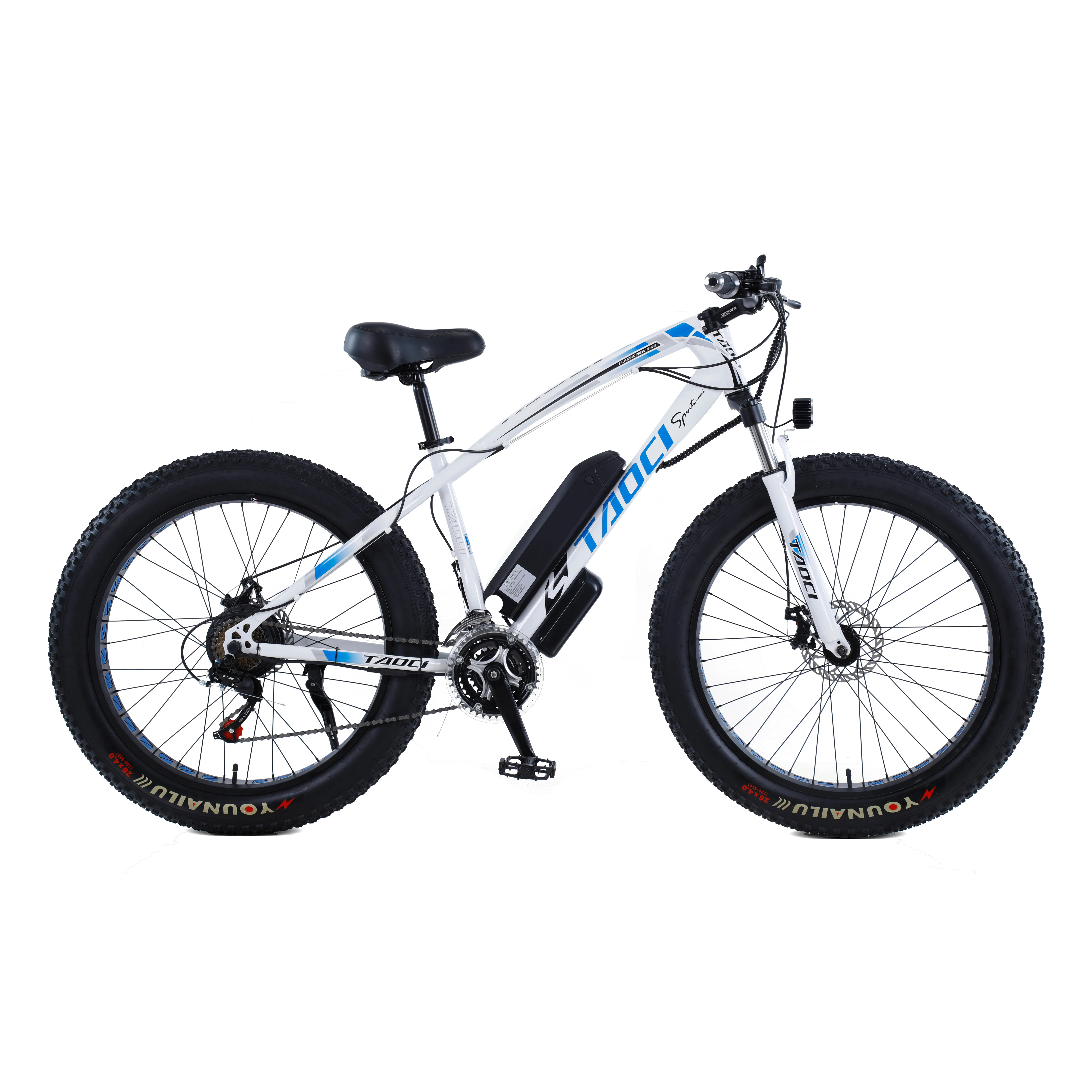 

Fashion sport electric bicycle fat tires 36v 1000W fat electric bike