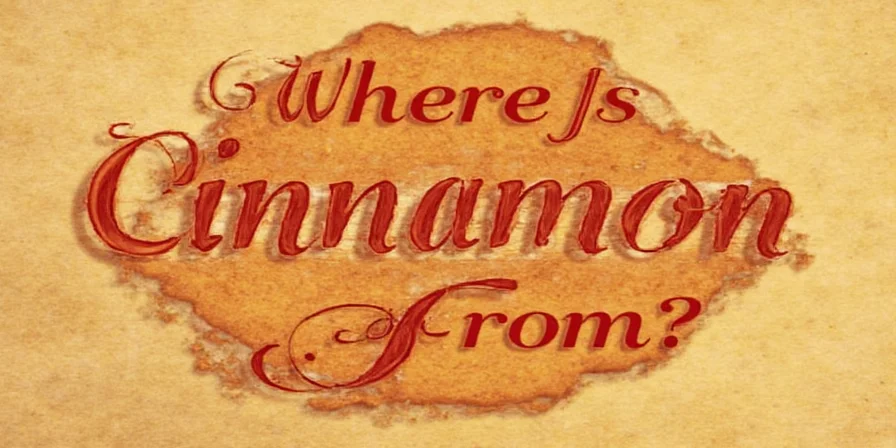 Where Is Cinnamon From? A Spicy Journey Through Time, Taste & Culture