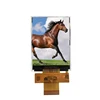 2.8'' TFT 37 Pin LCD Display 2.8 Inch TFT LCD For Mobile