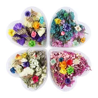 

Mixed Dried Flowers Nail Art DIY Preserved Flower With Heart-Shaped Box Glass Bottle Decoration