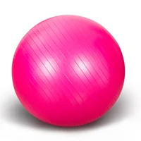 

Wholesale Private label Yoga Fitness Gym Accessories Anti burst PVC exercise ball