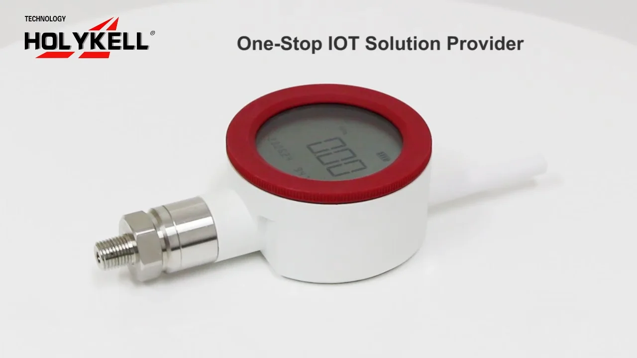 Holykell Oem Wireless Level Sensor Zigbee 3.6v Li Battery Absolute