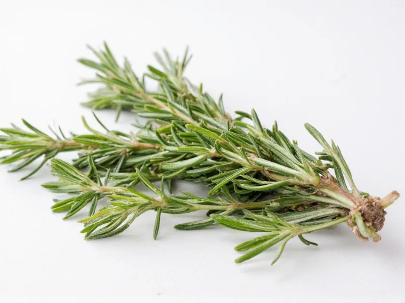 Does Rosemary Go Bad? Shelf Life & Storage Guide