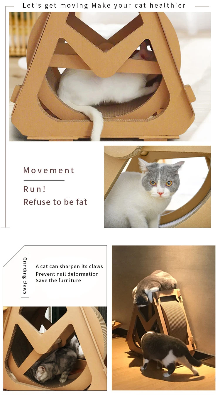 buy cat wheel