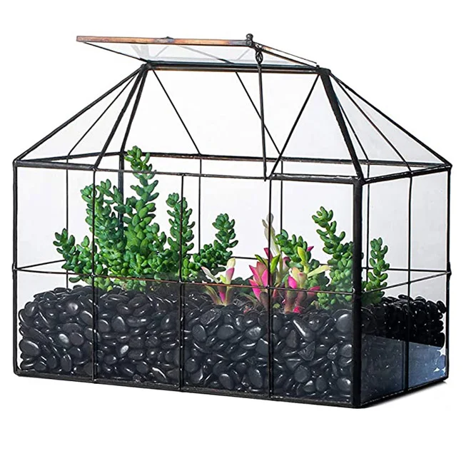 

Wholesale Large Glass Plant Terrarium House Succulent Glass Terrarium Kit with Lip Glass Greenhouse Terrarium for Plant, Black gold