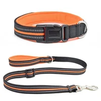 

nylon luxury fashion reflective pet dog protective collars leashes pet supplies training collar supplies and leash with buckle