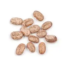 
Peru Grown Fresh Pinto Beans Dry Robinson Fresh MOQ 50 LBS Quick Delivery in US 