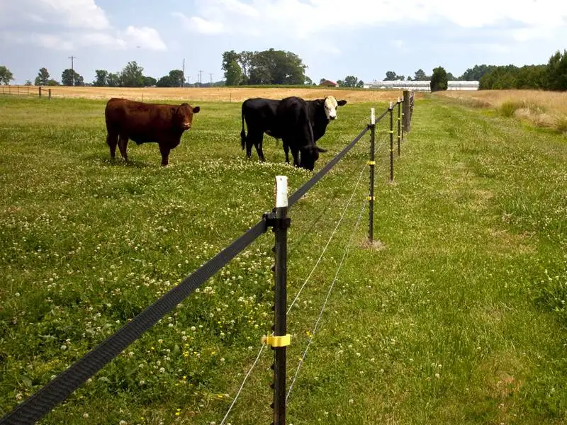 Zaunpfosten Used Tpost Tiang Pagar Wholesale 8 Recinzione Ranch