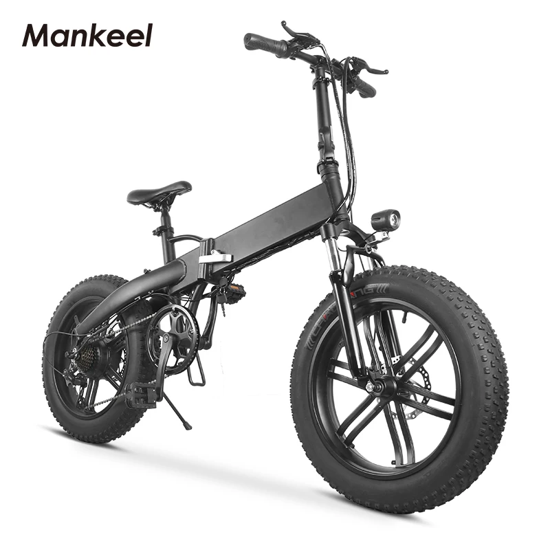 

Bike Electric Bicycle 250W 36V Battery Folding Ebike Electric Bike