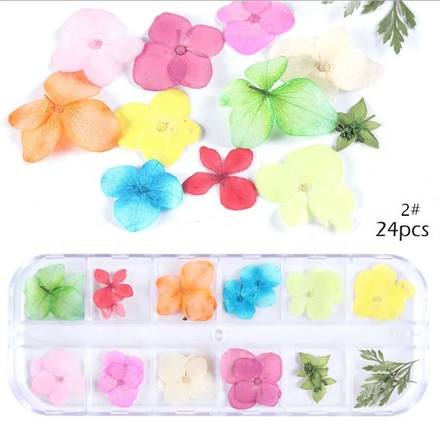 

2021 10 colors Nail art pressed dried flower nature dried flowers For UV Gel Acrylic Nail Art