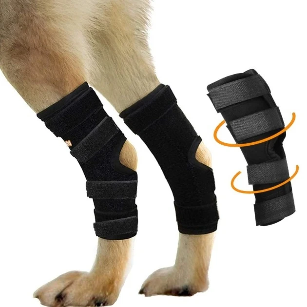 

Factory Price Pet surgery recovery sleeve brace Legs joint wrap protector Dog hock ankle brace, Black