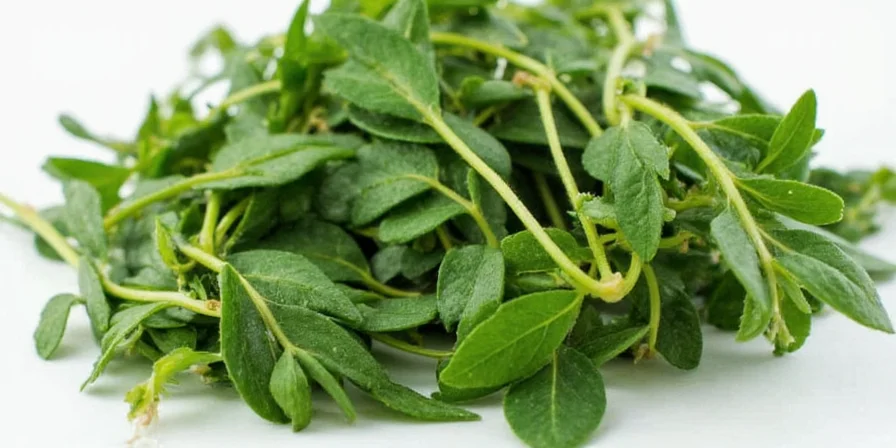 Fresh oregano leaves in a garden