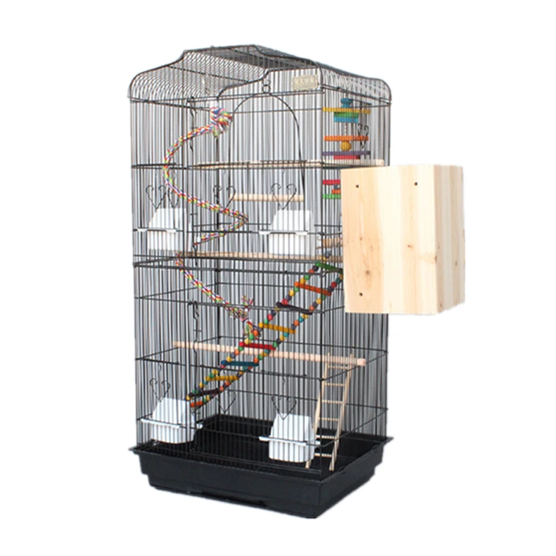 

budgerigar bird  china cage black