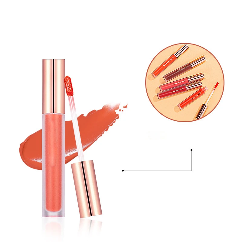 

OEM/ODM Free Sample wholesale lip gloss custom logo private label lip gloss vegan private label