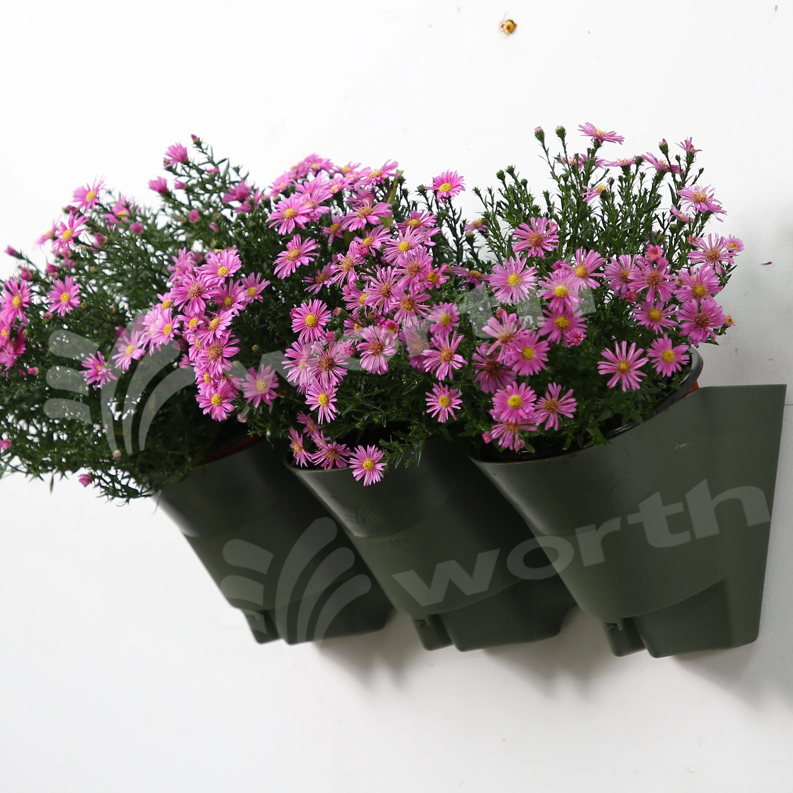 

Green Indoor Outdoor Use Garden Vertical Planter Flower Pots for Wall, Dark green