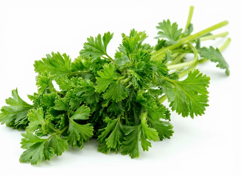 Dry Parsley to Fresh Conversion: Exact Substitution Guide