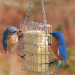 Image of Metal Nut Squirrel Guard Proof hanging automatic wild bird feeder for outdoor
