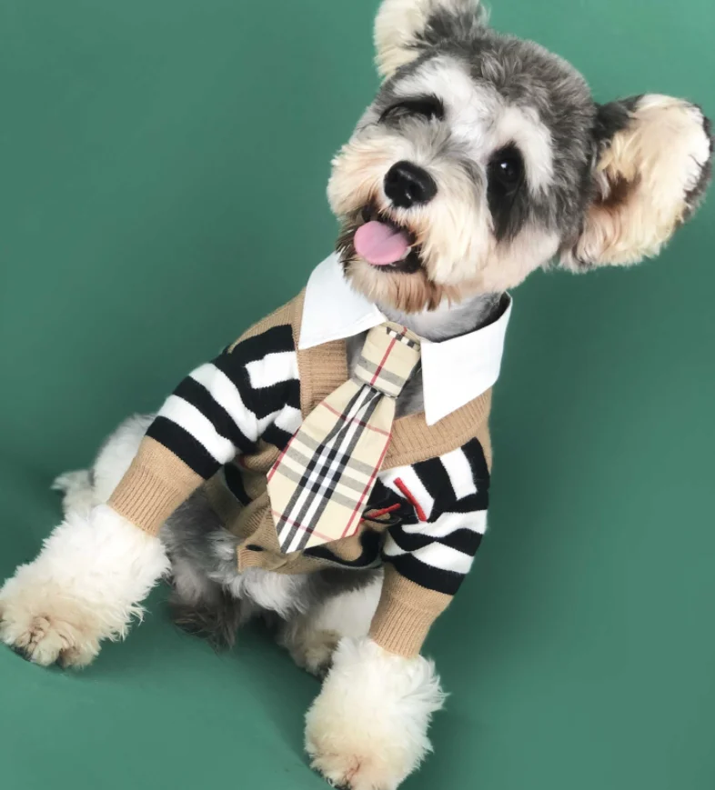 

Luxury brand Teddy Schnauzer Bomei Corgi woolen pet clothing dog striped cardigan sweater