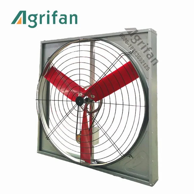 
Agrifan brand poultry farming large dairy fan/ cowshed fan 