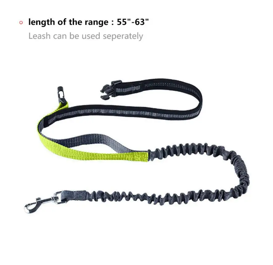 Leash 7.jpg