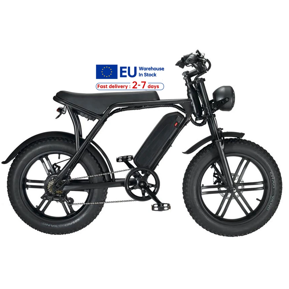 

EU Warehouse Free Shipping 750w 48v 15ah Electric City Bicycle Road Bike Mountain E Cycle Electric Fast Fat Tire Bike eBike