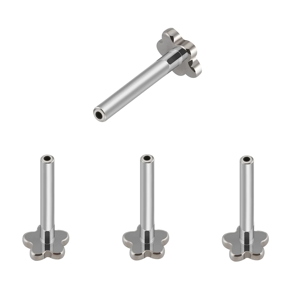 

Right Grand 16G Implant Grade Titanium Internal Thread Plum Labret Post