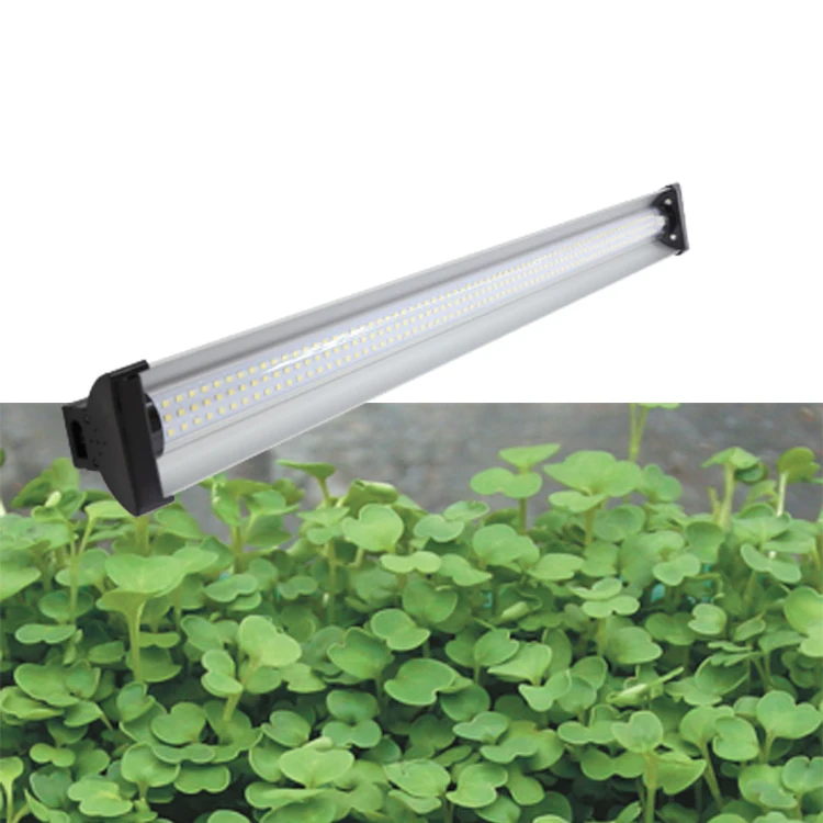 best lettuce microgreens hydro growing lamp full spectrum led grow light for indoor plants garden growth