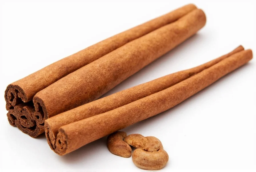 Close-up of cinnamon sticks next to measuring spoon showing safe dosage amount for dogs