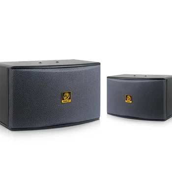 speaker karaoke 10 inch