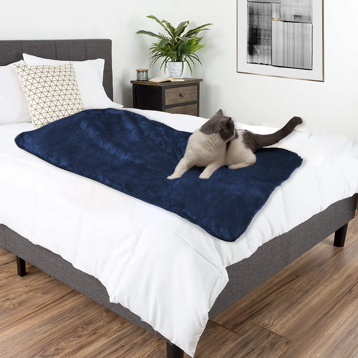 

Super Soft 100% Polyester Waterproof Plush Pet Blanket Sherpa Fleece Printed Dog Blanket, Accept customized
