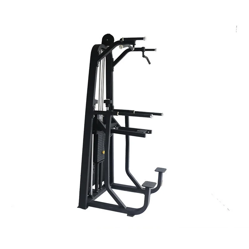 

Indoor GYM Commercial Fitness Equipment Strength Exercise Machine Dip&Chin Assist Fitness Gym Equipment
