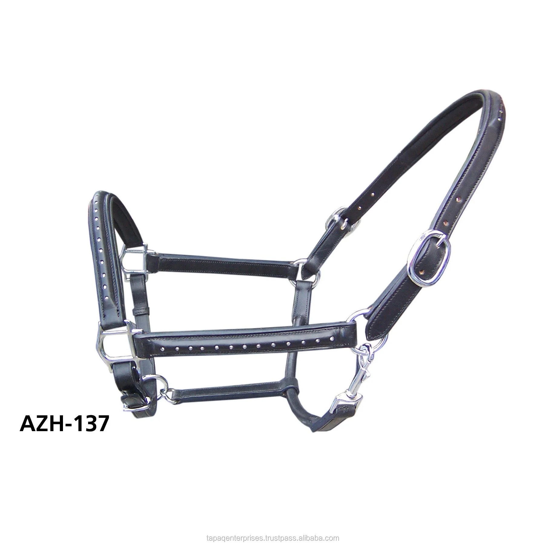 AZH 137.jpg