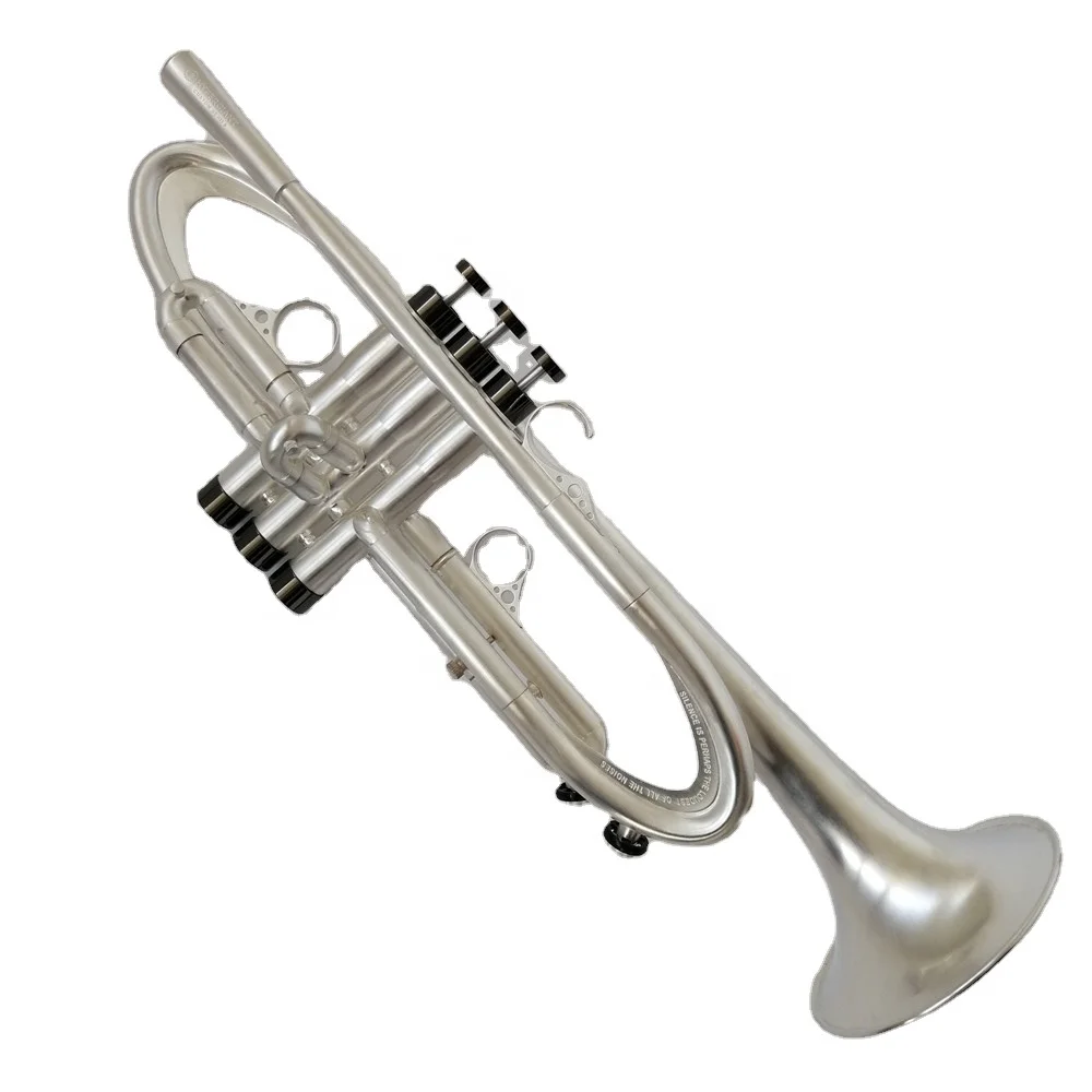 
Based on Harrelson trumpet brush silver surface accept customized 