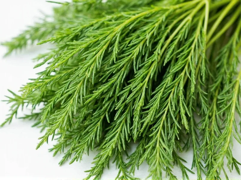 Dill Health Benefits: Science-Backed Nutritional Advantages