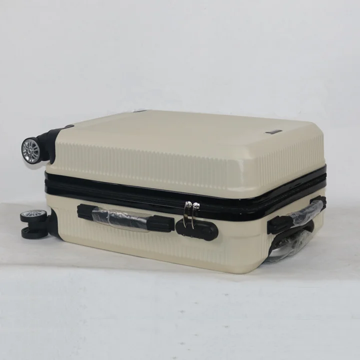 fancy luggage  (21).png