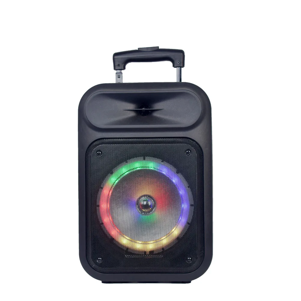 

8 inch private model high power 20W RMS speaker