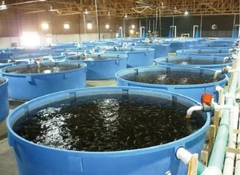 Fiberglass Fish Farming Tanks With Window - Buy Fish Farming Tanks ...