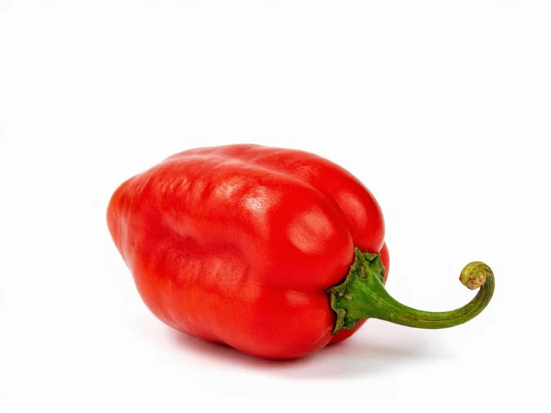 Guajillo Pepper: Complete Guide to This Mexican Chile