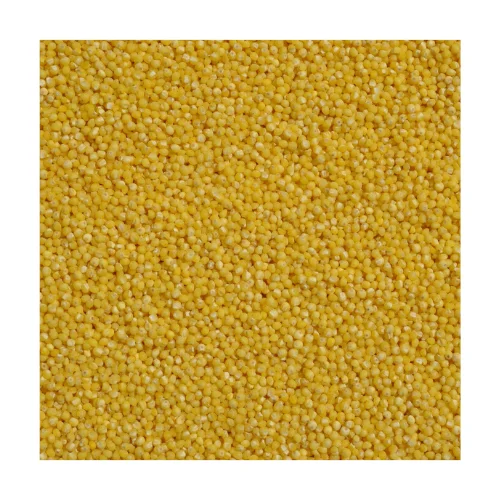 
Organic Russian Hulled / Hirse / Miglio / Mijo / Golden Millet Grain 